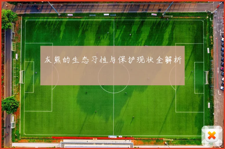 灰熊的生态习性与保护现状全解析